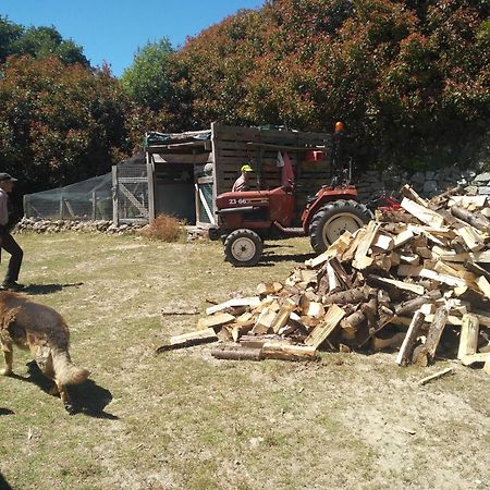 Chale Pouso Da Serra - Casas De Montanha Costilhao Εξωτερικό φωτογραφία