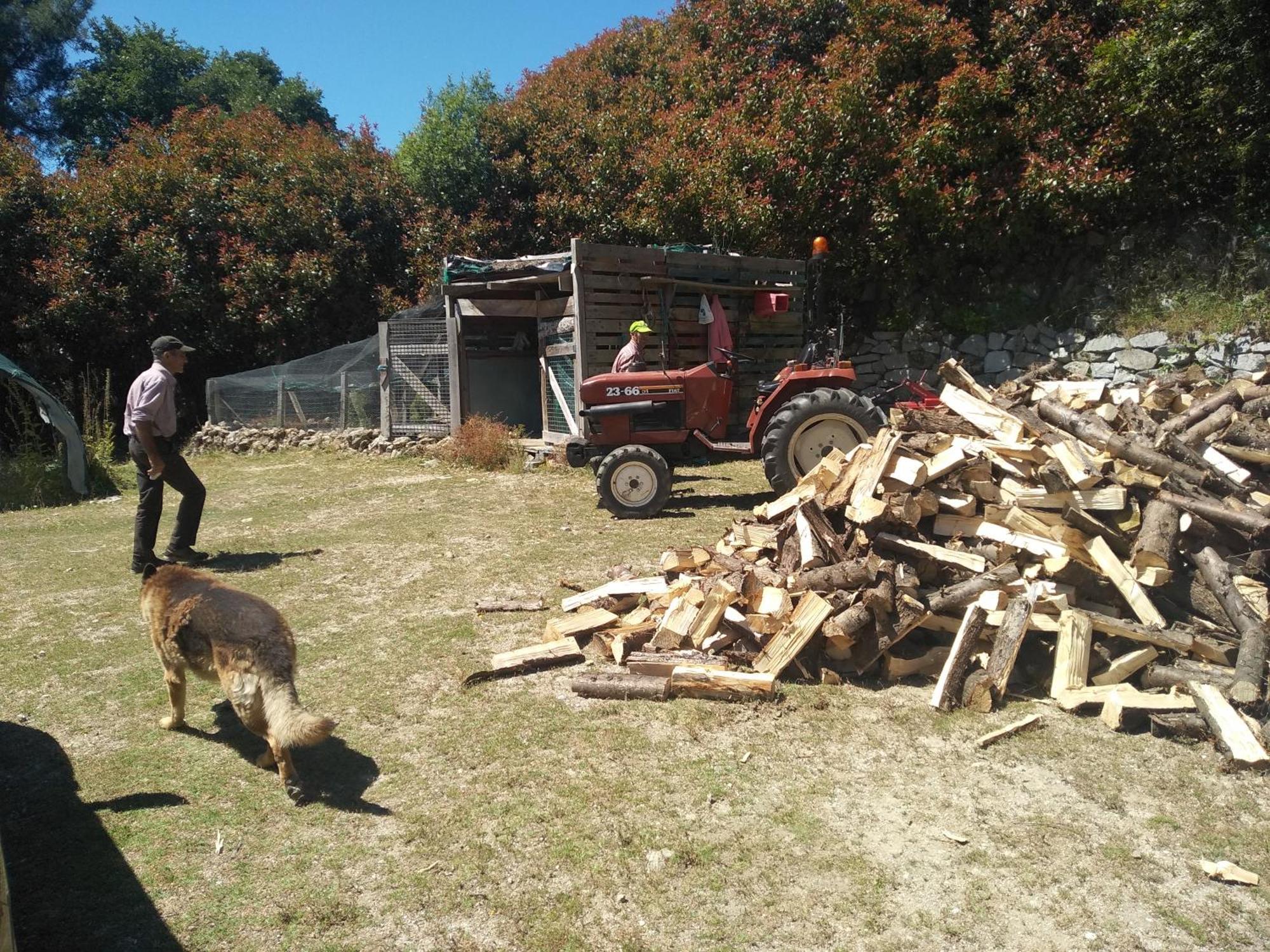 Chale Pouso Da Serra - Casas De Montanha Costilhao Εξωτερικό φωτογραφία